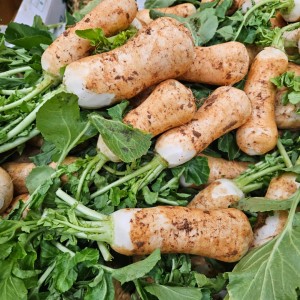 알타리절임 국내산 3kg